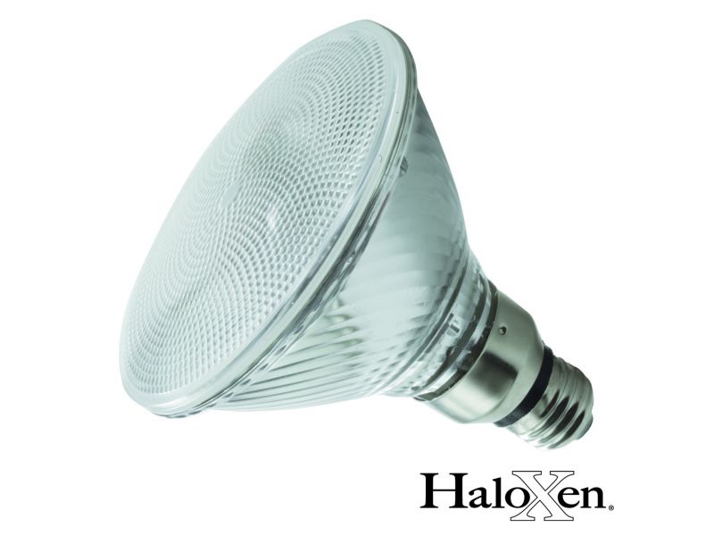 HaloXen 130V PAR Lamps